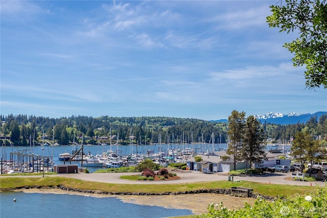 155 Baldwin Ln, Port Ludlow, WA 98365 - water view featuring a dock, a mountain backdrop, and a heavily wooded area