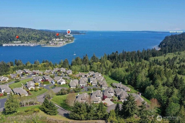 155 Baldwin Ln, Port Ludlow, WA 98365 - aerial view of property's location featuring a forest, nearby suburban area, and a large body of water