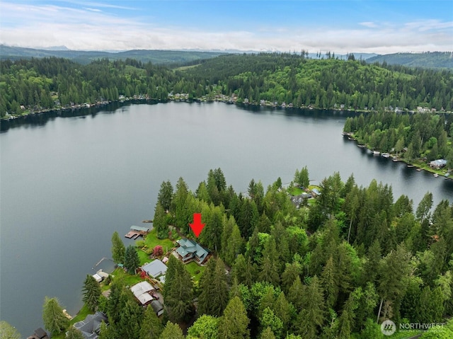 17 NW Lake Roesiger Rd, Snohomish, WA 98290 - photo 38