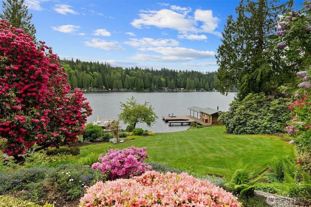 17 NW Lake Roesiger Rd, Snohomish, WA 98290 - photo 36