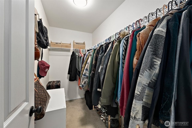 walk in closet with carpet