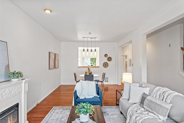 living area featuring a glass covered fireplace and wood finished floors