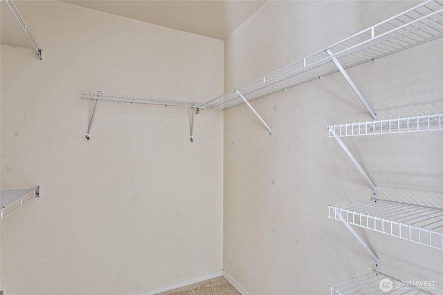 view of spacious closet