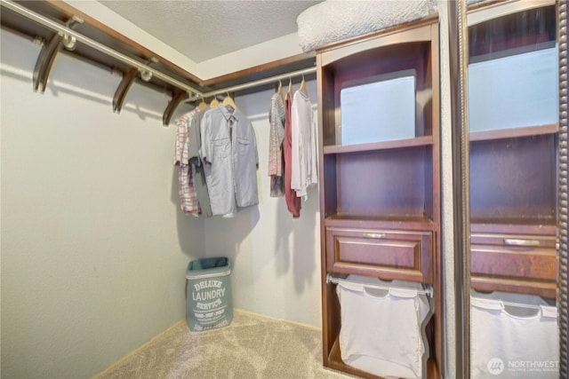 13915 23rd Dr SE, Mill Creek, WA 98012 - spacious closet with carpet floors