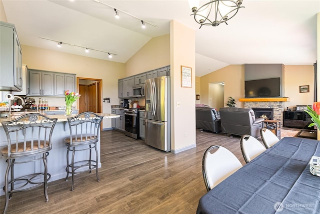 2995 Haynie Rd, Custer, WA 98240 - kitchen featuring stainless steel appliances, rail lighting, gray cabinetry, open floor plan, and vaulted ceiling