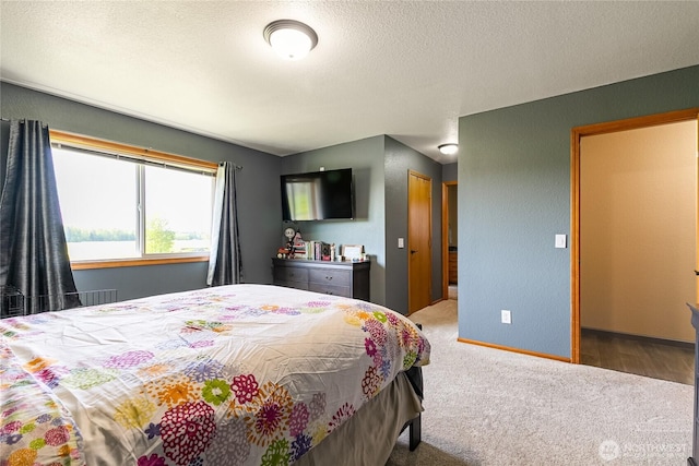 2995 Haynie Rd, Custer, WA 98240 - bedroom featuring a textured ceiling, carpet floors, and baseboards