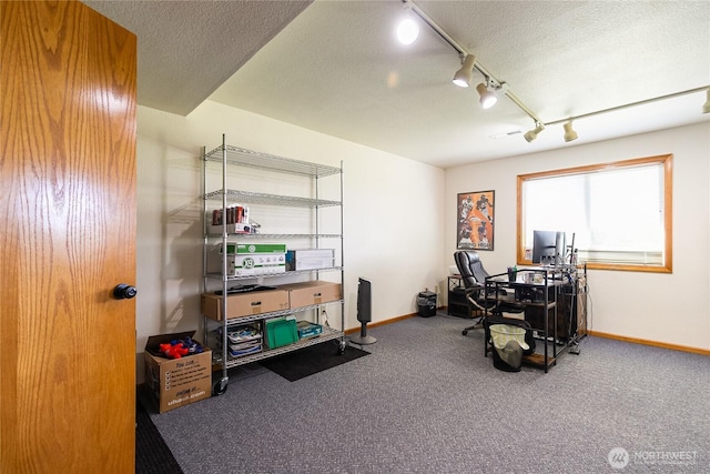 2995 Haynie Rd, Custer, WA 98240 - home office with baseboards, carpet floors, track lighting, and a textured ceiling