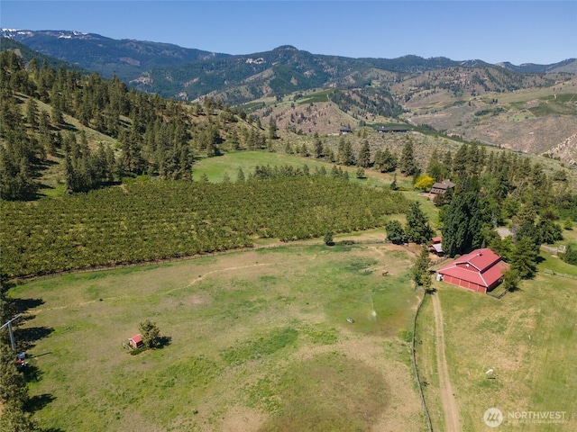 712 Moonlit Ln, Wenatchee, WA 98801 - photo 8
