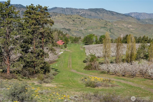 712 Moonlit Ln, Wenatchee, WA 98801 - photo 5