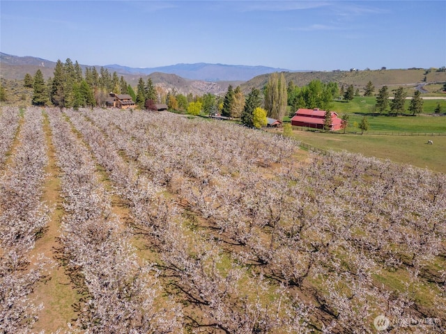 712 Moonlit Ln, Wenatchee, WA 98801 - photo 39