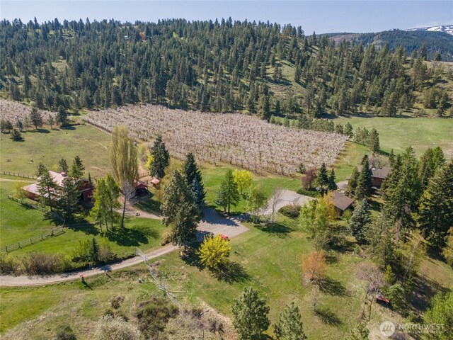712 Moonlit Ln, Wenatchee, WA 98801 - photo 4