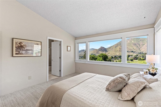 1014 Westmorland Dr, Wenatchee, WA 98801 - bedroom featuring light colored carpet, a mountain view, lofted ceiling, and a textured ceiling