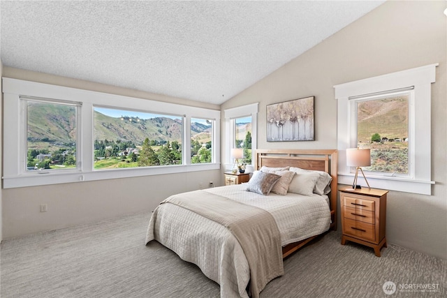 1014 Westmorland Dr, Wenatchee, WA 98801 - bedroom with a textured ceiling, lofted ceiling, and carpet
