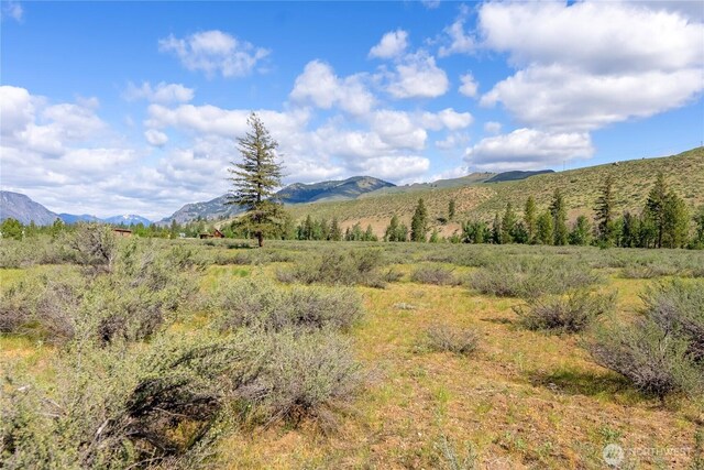 0 Wolf Creek Rd, Winthrop, WA 98862