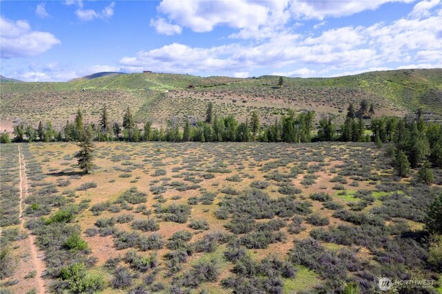 0 Wolf Creek Rd, Winthrop, WA 98862