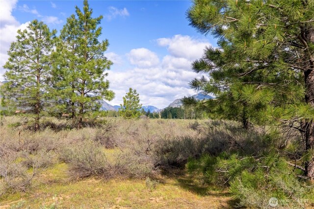 0 Wolf Creek Rd, Winthrop, WA 98862