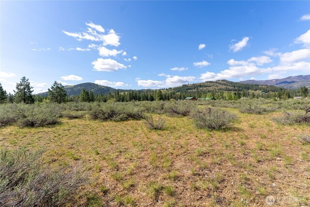 0 Wolf Creek Rd, Winthrop, WA 98862