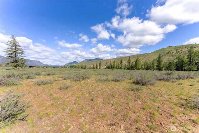 0 Wolf Creek Rd, Winthrop, WA 98862