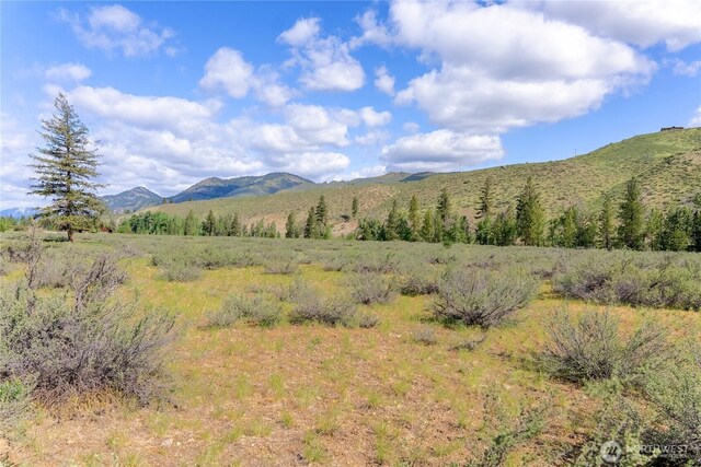 0 Wolf Creek Rd, Winthrop, WA 98862
