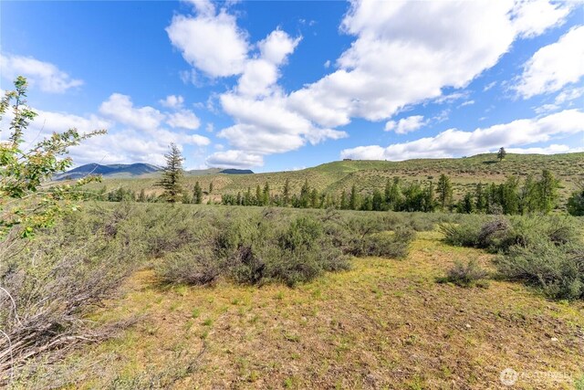 0 Wolf Creek Rd, Winthrop, WA 98862