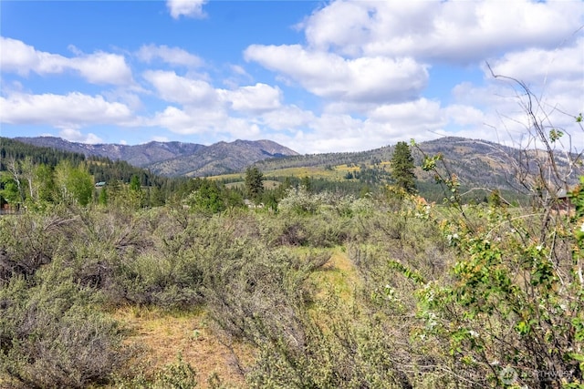 0 Wolf Creek Rd, Winthrop, WA 98862