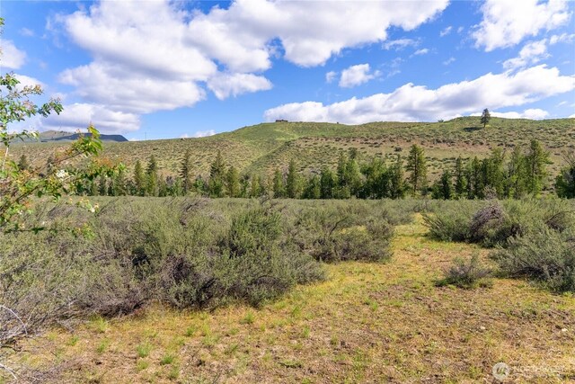 0 Wolf Creek Rd, Winthrop, WA 98862