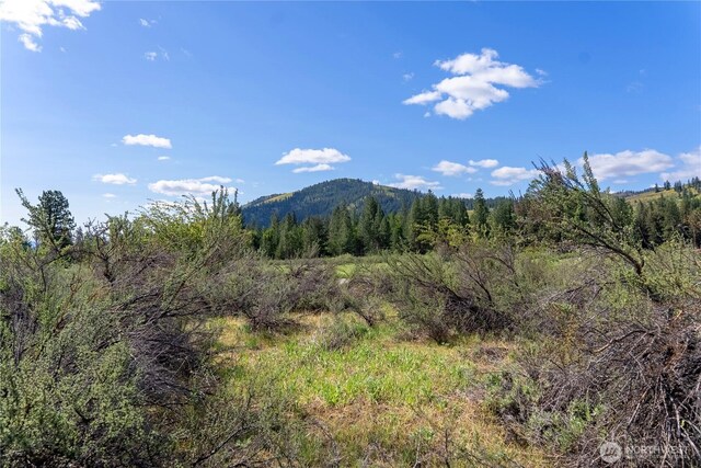 0 Wolf Creek Rd, Winthrop, WA 98862