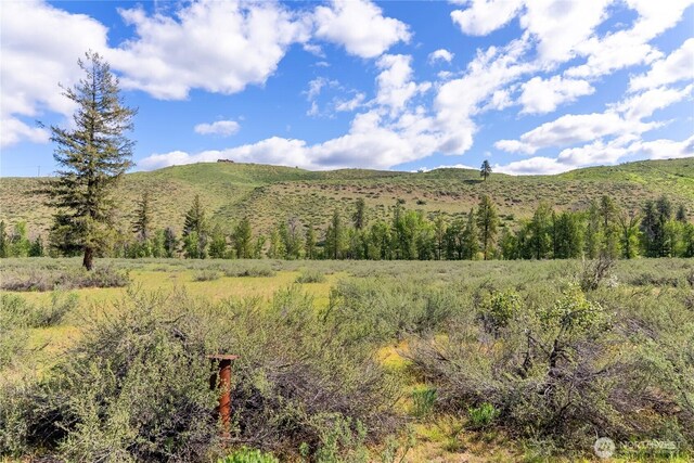 0 Wolf Creek Rd, Winthrop, WA 98862