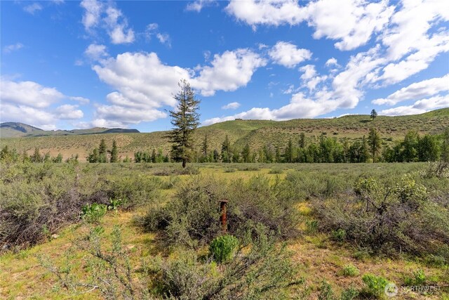 0 Wolf Creek Rd, Winthrop, WA 98862