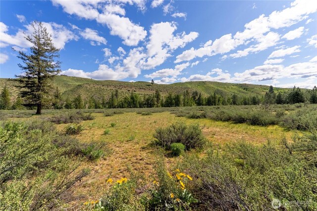 0 Wolf Creek Rd, Winthrop, WA 98862