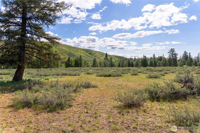 0 Wolf Creek Rd, Winthrop, WA 98862