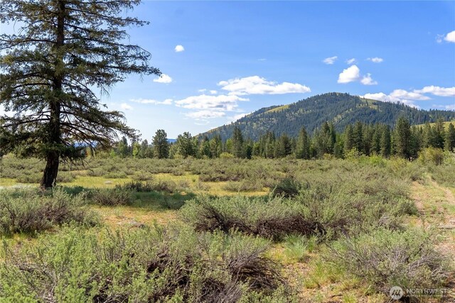 0 Wolf Creek Rd, Winthrop, WA 98862