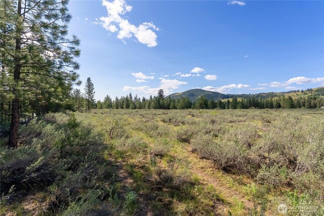 0 Wolf Creek Rd, Winthrop, WA 98862