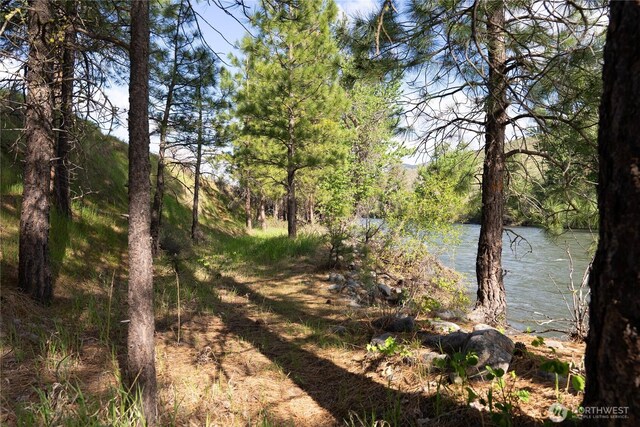 0 Wolf Creek Rd, Winthrop, WA 98862