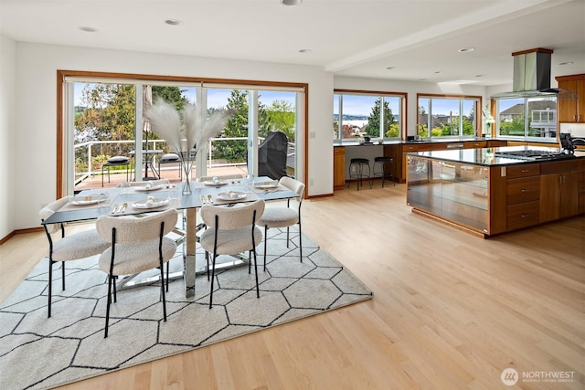 dining room featuring light wood-style floors, baseboards, and recessed lighting
