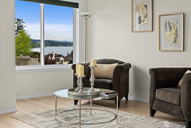 living area featuring wood finished floors, healthy amount of natural light, and baseboards