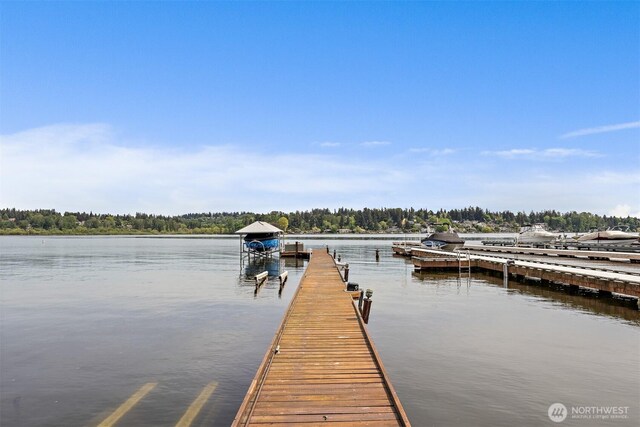 dock area featuring a water view