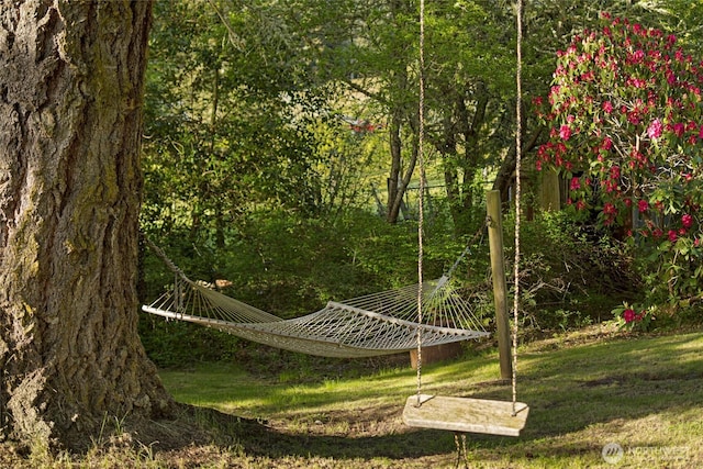 surrounding community with a lawn