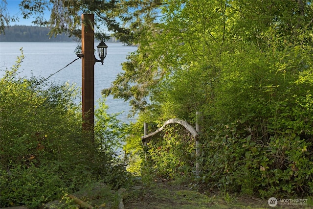 view of landscape featuring a water view