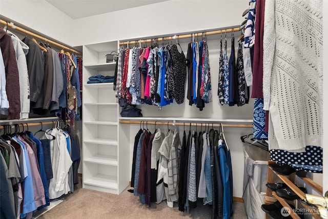 spacious closet featuring carpet flooring