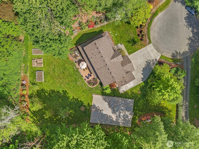 aerial view