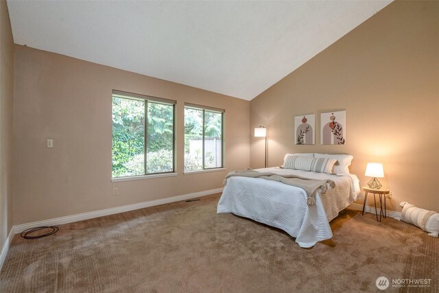 25432 213th Pl SE Unit 4, Maple Valley, WA 98038 - carpeted bedroom with baseboards and lofted ceiling
