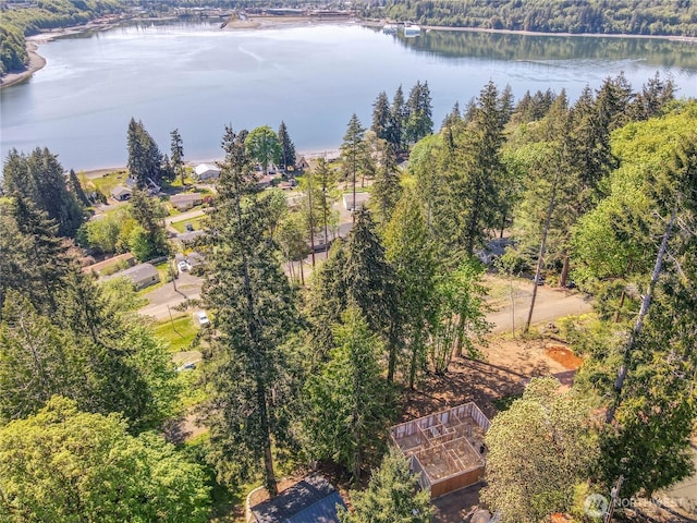 200 E Panorama Dr, Shelton, WA 98584 - bird's eye view of a nearby body of water and a forest