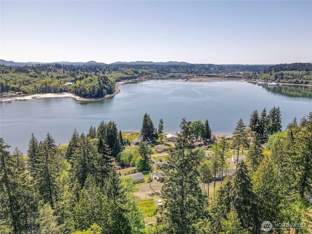 200 E Panorama Dr, Shelton, WA 98584 - bird's eye view of a nearby body of water and a heavily wooded area