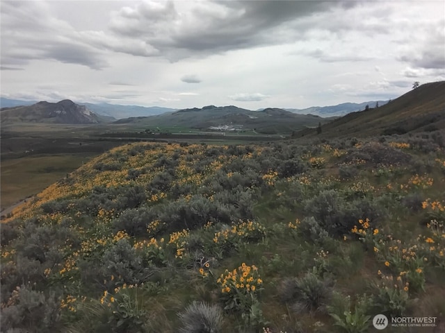 0 Lower White Rock Rd, Oroville, WA 98844
