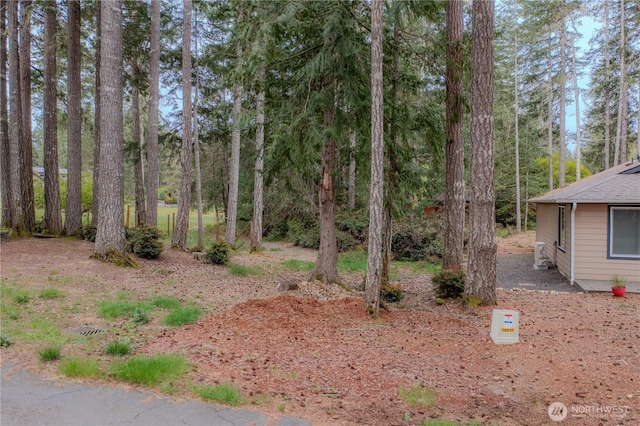 20 E Virginia Ct, Union, WA 98592 - photo 3