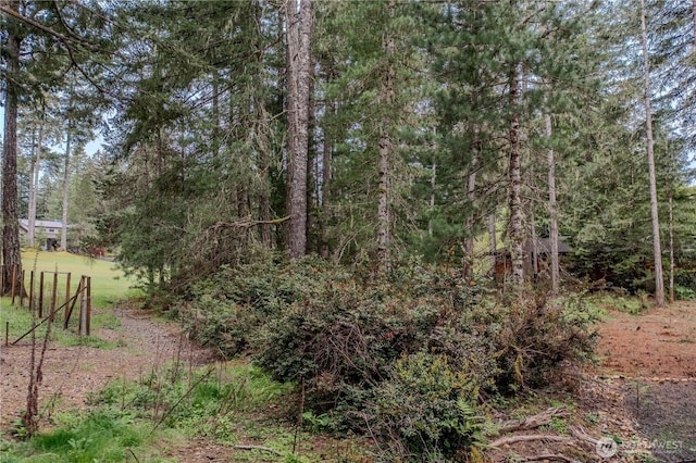 20 E Virginia Ct, Union, WA 98592 - photo 5
