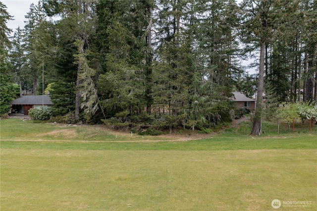20 E Virginia Ct, Union, WA 98592 - photo 8