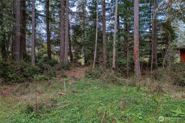 20 E Virginia Ct, Union, WA 98592 - photo 16