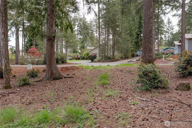 20 E Virginia Ct, Union, WA 98592 - photo 18